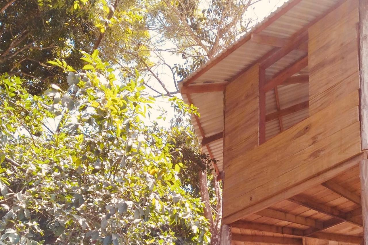 Kanku Sho Chalet - Jungle Treehouse Pavones  Exterior photo