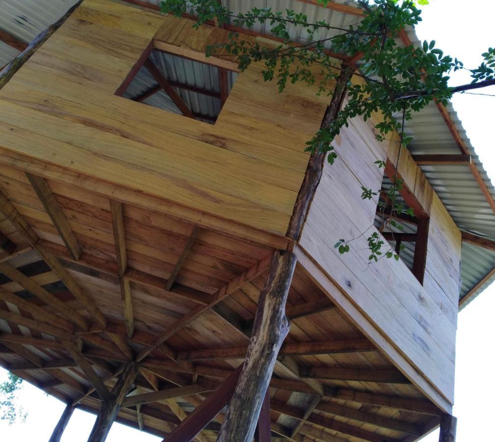 Kanku Sho Chalet - Jungle Treehouse Pavones  Exterior photo